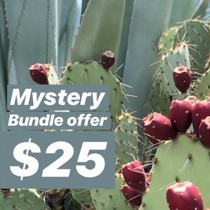Mystery Bundle